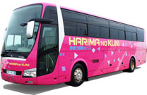 member/bus.jpg
